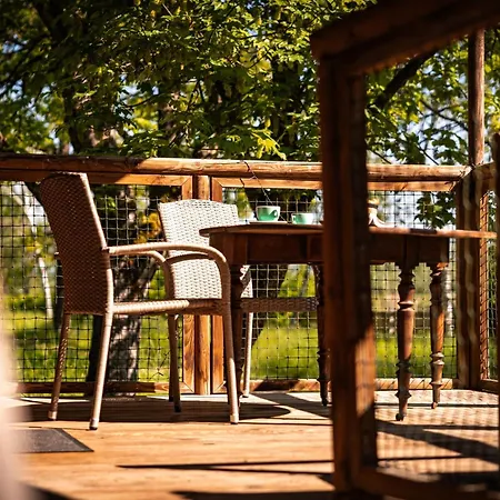 Tiny House - Sur Pilotis - Etat Nature